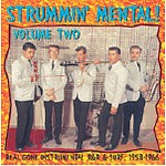 V.A. - Strummin Mental Vol.2 LP